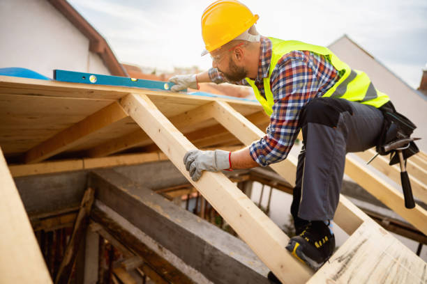 Best Roof Gutter Cleaning  in Wayne Heights, PA