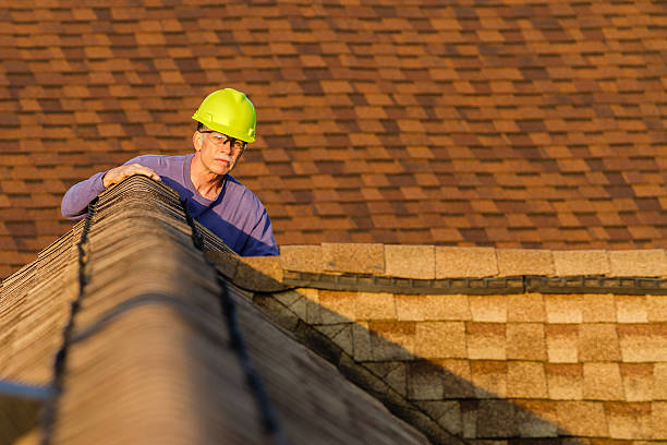 Best Storm Damage Roof Repair  in Wayne Heights, PA